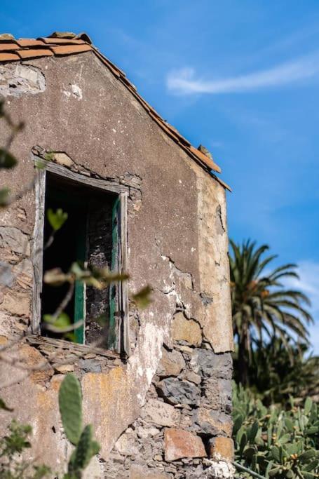 Vivienda Vacacional Rosa Blanca (Adults Only) Arure Εξωτερικό φωτογραφία